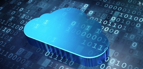 Web Sitesi Çılgınlığı